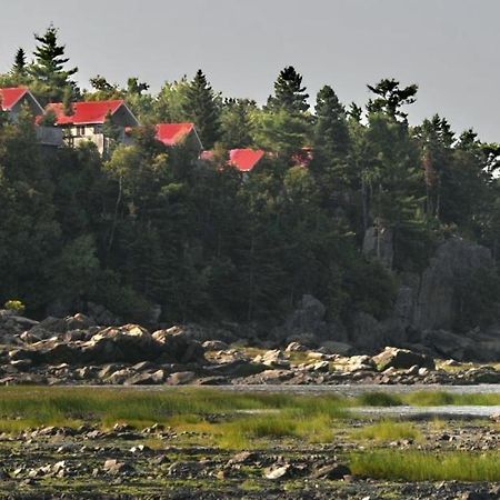Camping & Chalets De La Demi-Lieue Hotel Saint-Jean-Port-Joli Buitenkant foto